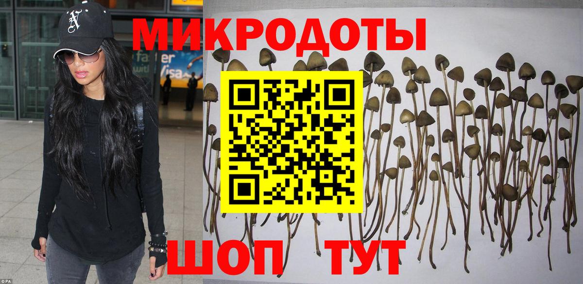 Галлюциногенные грибы мицелий Канаш