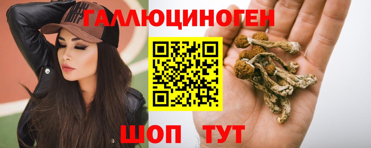 Канаш  Галлюциногенные грибы Magic Shrooms  Галлюциногенные грибы Psilocybine cubensis  Вход с VPN 